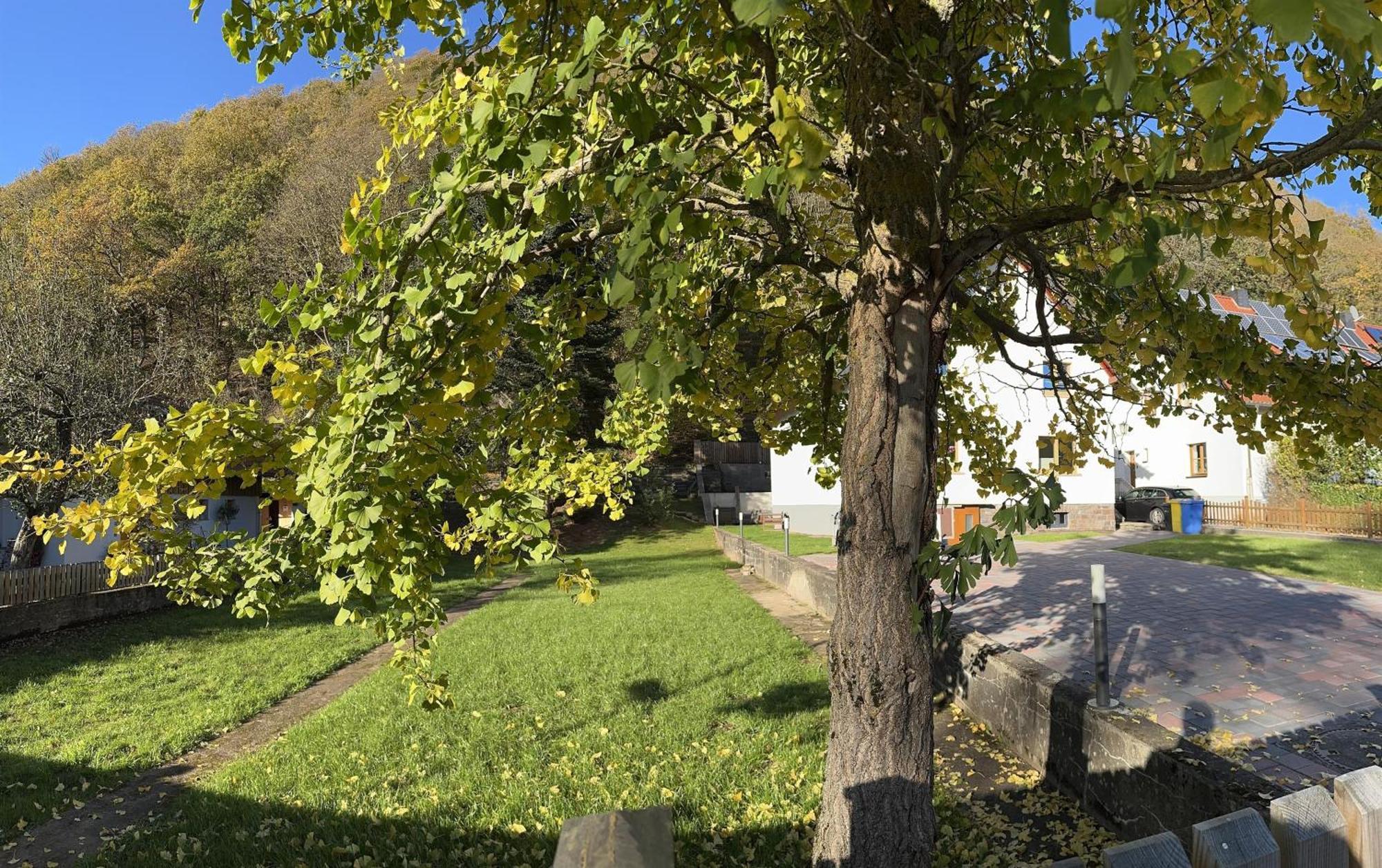 Ferienhaus Ginkgo Biloba Malsbenden Eksteriør billede