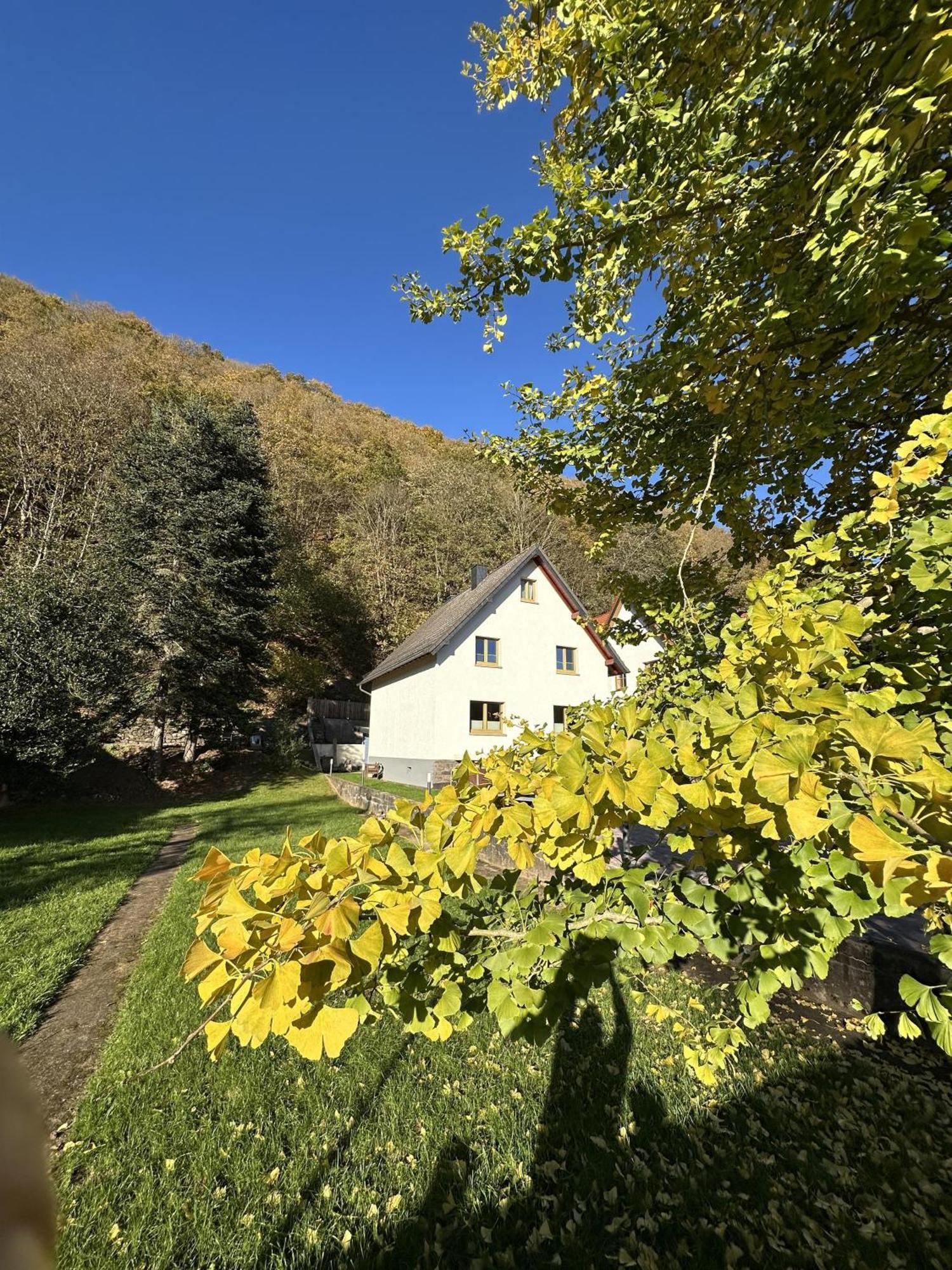 Ferienhaus Ginkgo Biloba Malsbenden Eksteriør billede